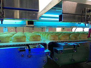 Transportador de Enfriamiento de Dos Niveles, para Panes/Pasteles