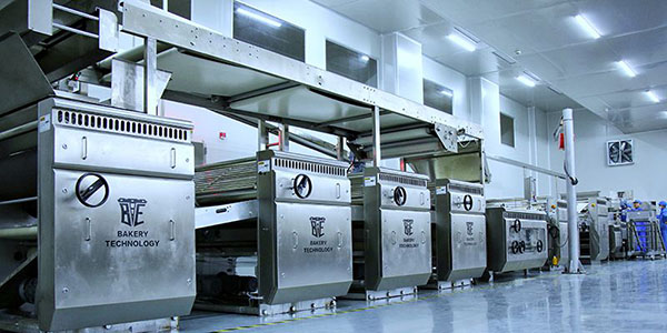 Línea de Producción de Galletas Crocantes