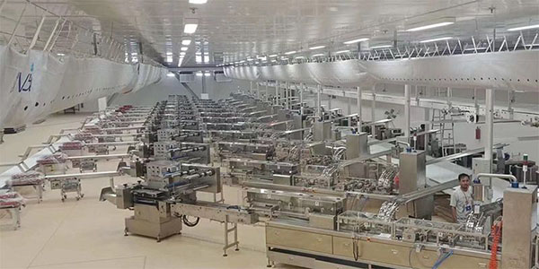 Línea de Producción de Galletas tipo Sándwich